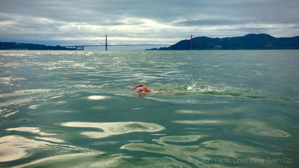 Woman swimming Alcatraz with Golden Gate Bridge in background