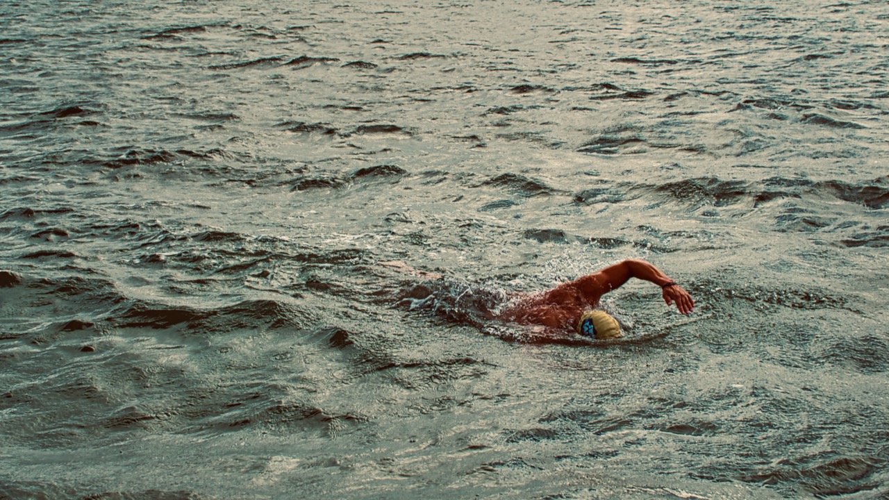 Solo Swimmer between Alcatraz and San Francisco