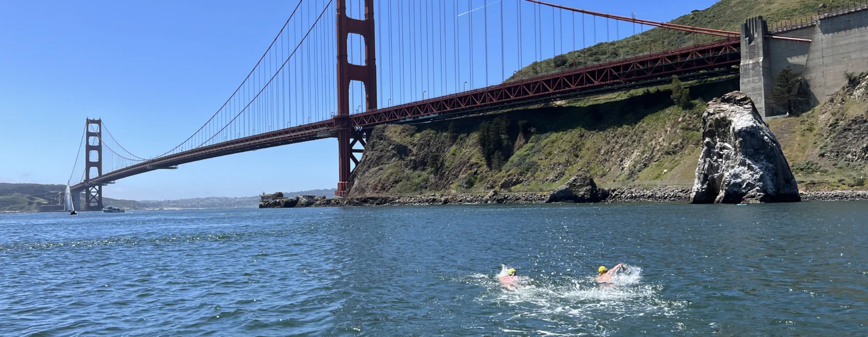 Weekly open water swims with Pacific Open Water Swim Co in Sausalito, CA