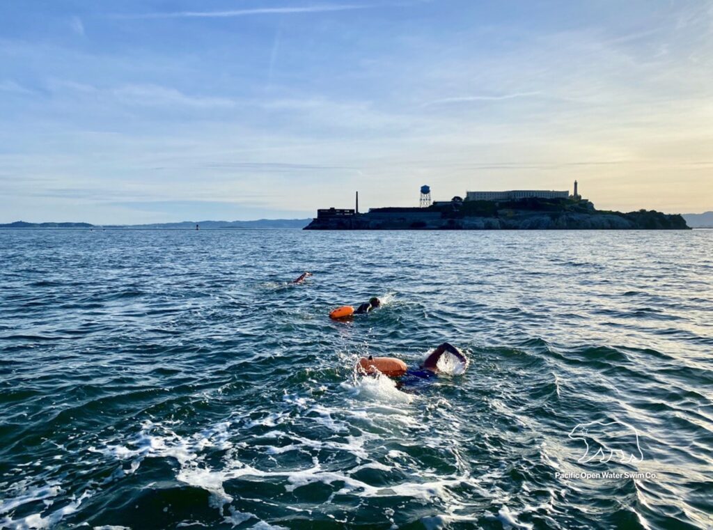 Swimmers in open water approaching Alcatraz Island, with the historic prison visible in the background under a clear sky.